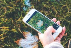 手机看片国产福利永久,手机看片福利无限，带你领略视听盛宴